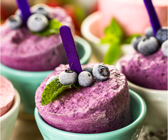 Vegan Blueberry Sorbet